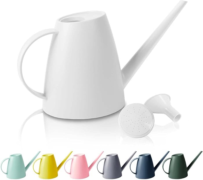 Watering Can for Indoor Outdoor Plants, Modern Small Watering Cans with Removable Nozzle, Long Sp... | Amazon (US)