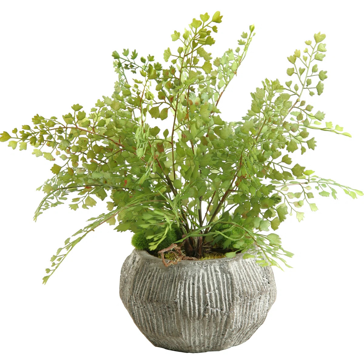 Yoshida Artificial Fern Plant in Planter | Wayfair North America