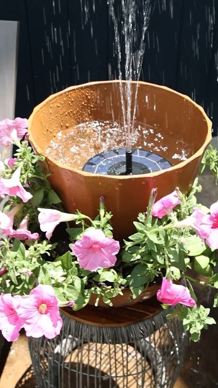 DIY water fountain! One year later and this solar fountain from Amazon is still a show stopper! 

#LTKSeasonal #LTKVideo #LTKhome