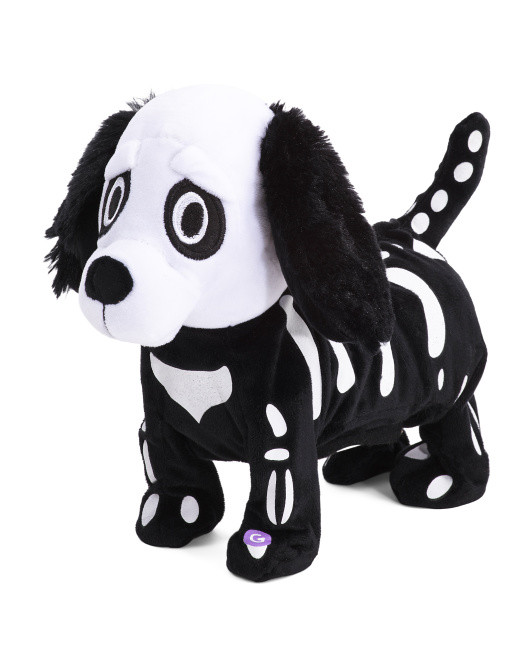 Animated Dancing Bone Dog | TJ Maxx