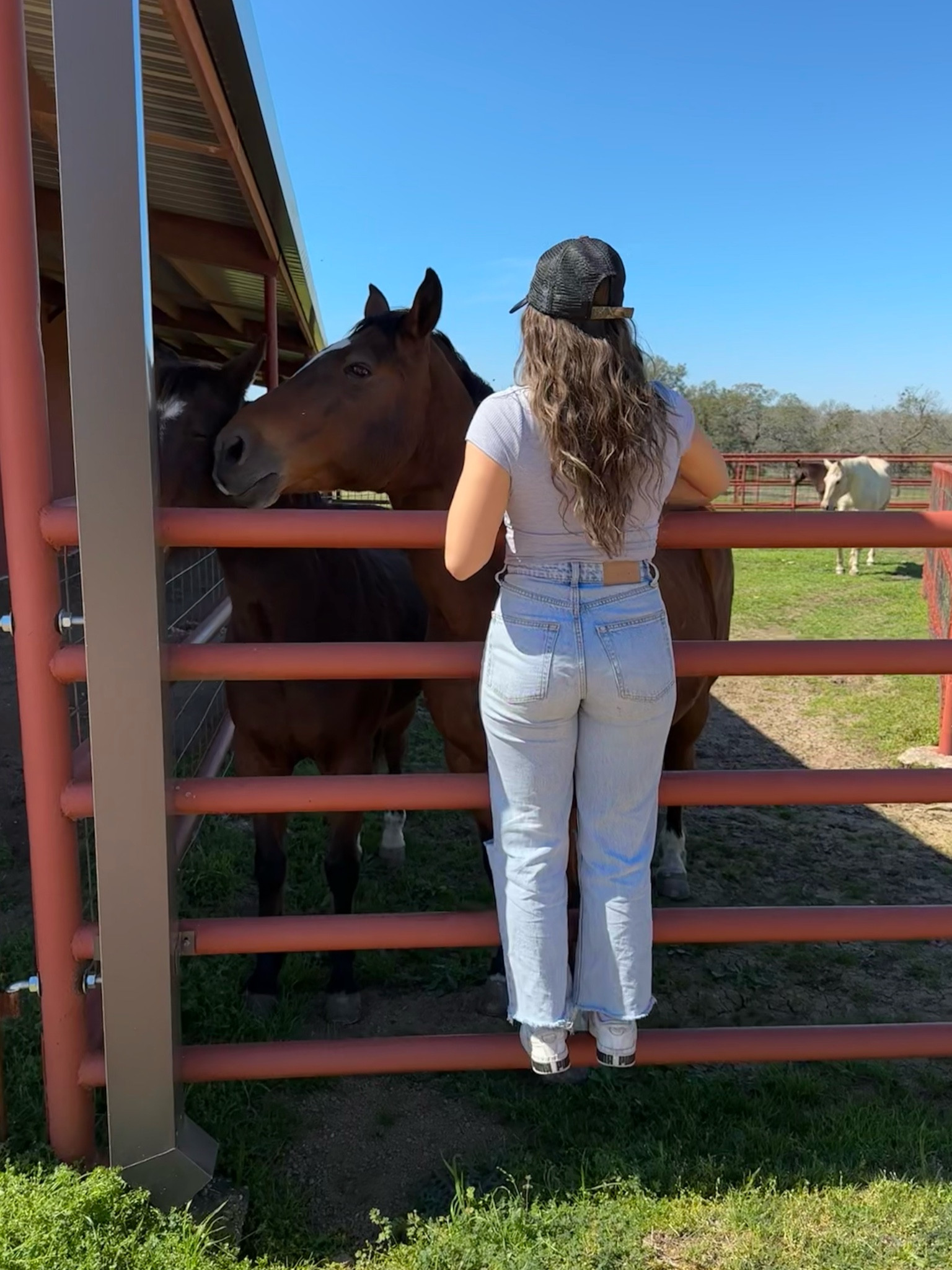 H&M denim is the best denim hands down 🙌🏼

Cute, comfy, trendy, affordable 



Denim, H&M, high waisted denim, high waist, wide leg denim, petite style, petite denim, jeans, petite style, petite fashion finds 

#LTKstyletip #LTKfindsunder50