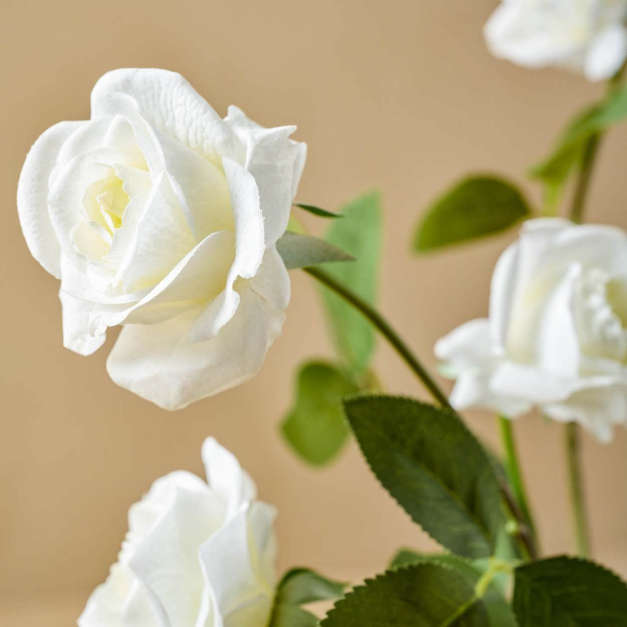 Real Touch Rose Bundle | Magnolia