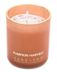 10oz Pumpkin Harvest Gold Rim Candle | Marshalls