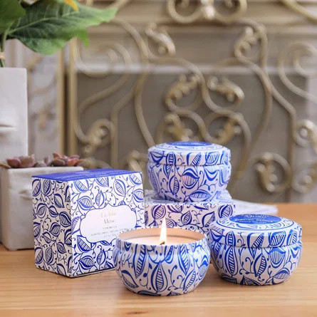 La Jolie Muse 3 Piece Citronella Scented Jar Candle Set | Wayfair | Wayfair North America