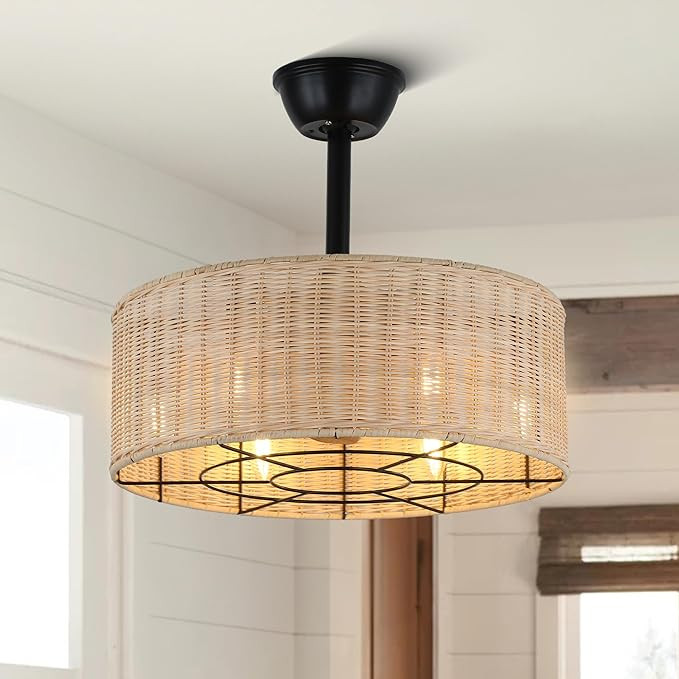 18'' Boho Rattan Caged Ceiling Fan with Light and Remote, Flush Mount Retro Fandelier with Lights... | Amazon (US)