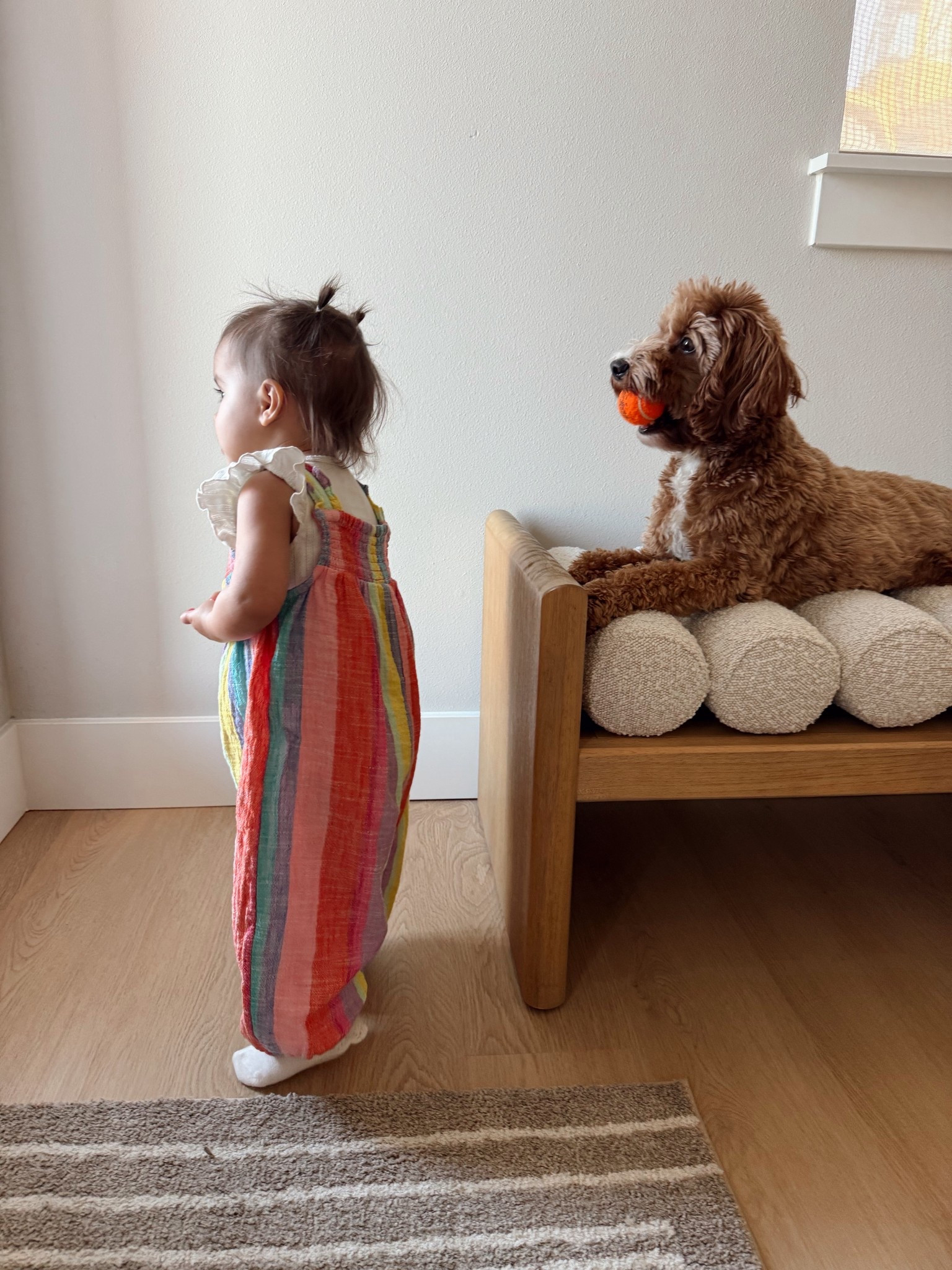 The CUTEST little romper! Paired a little onesie underneath with ruffles. I can’t get over this combo🤭

Baby girl, toddler, summer outfit, summer style, next clothing, 

#LTKKids #LTKBaby