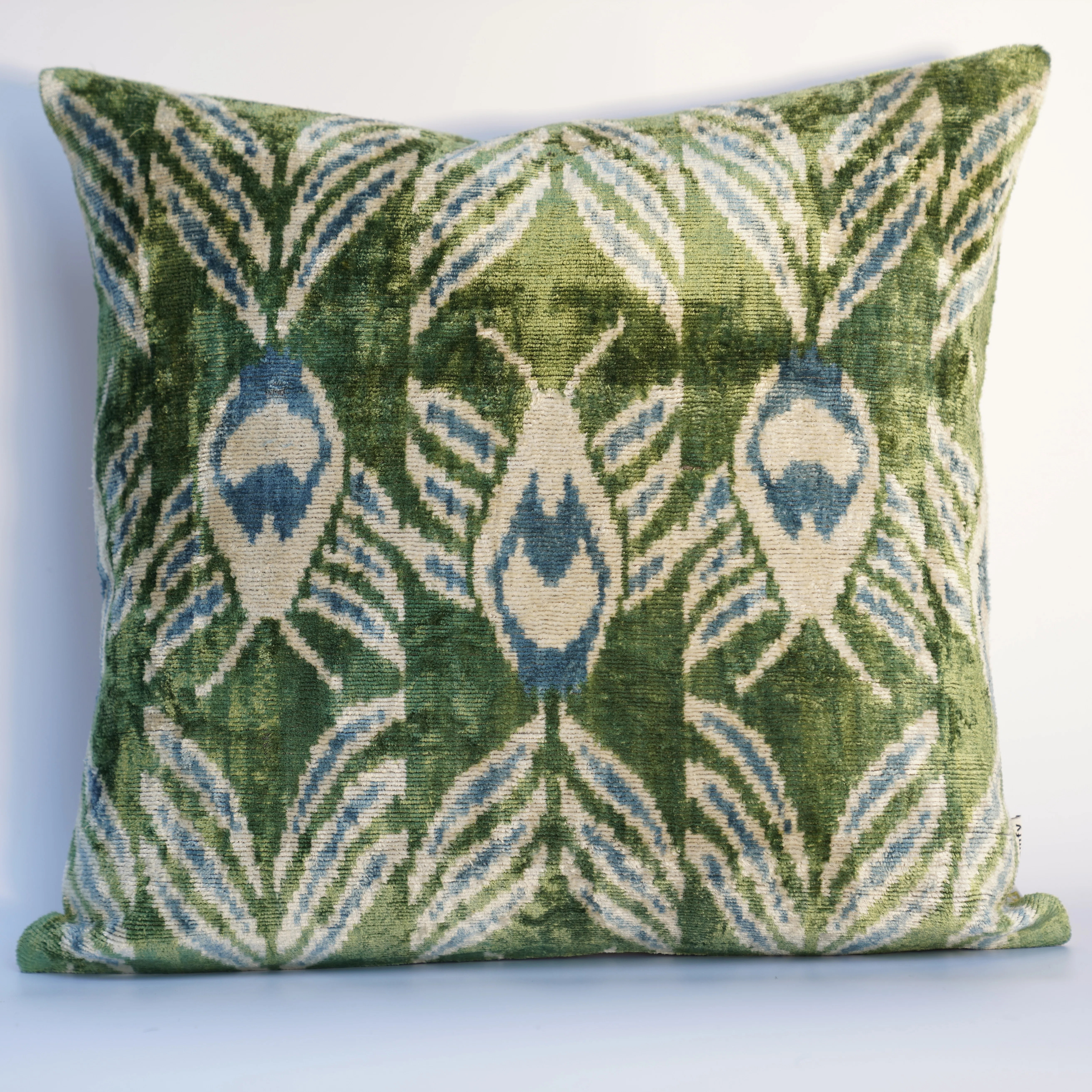 Throw Pillow | Wayfair North America