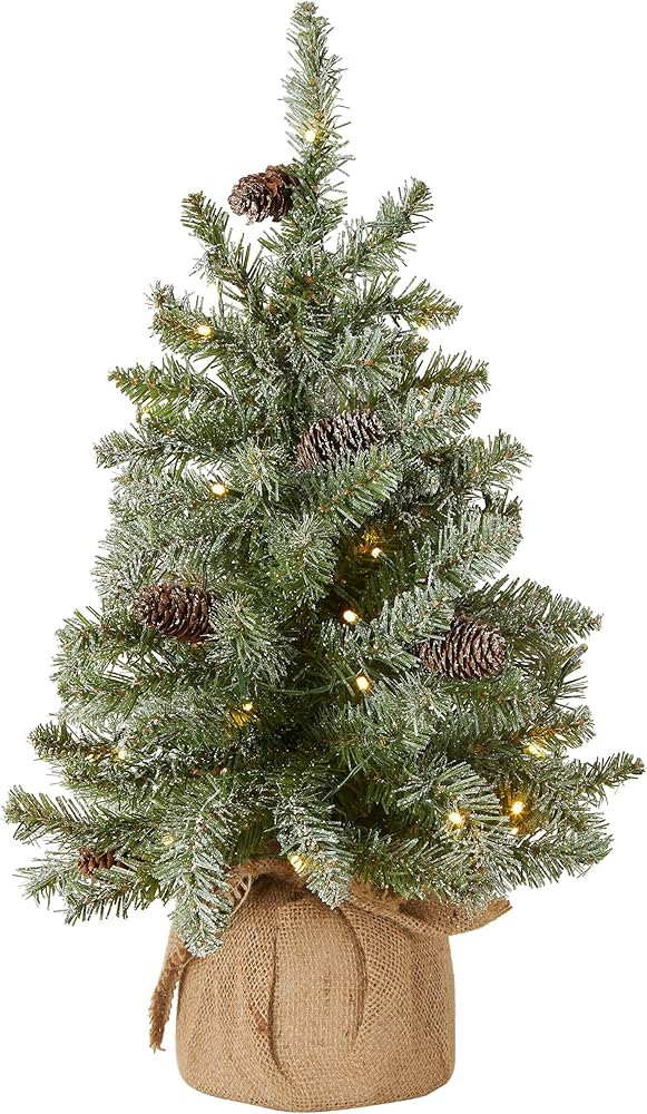 National Tree Company 2 ft Pre-Lit Flocked Mini Artificial Christmas Tree, 50 Clear LED Lights, 7... | Amazon (US)