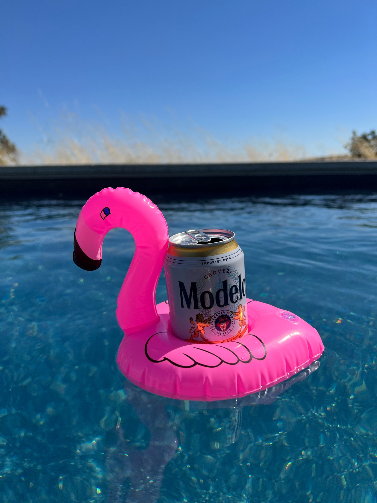 🦩 Pool time 😎 




#LTKhome #LTKSeasonal #LTKFind