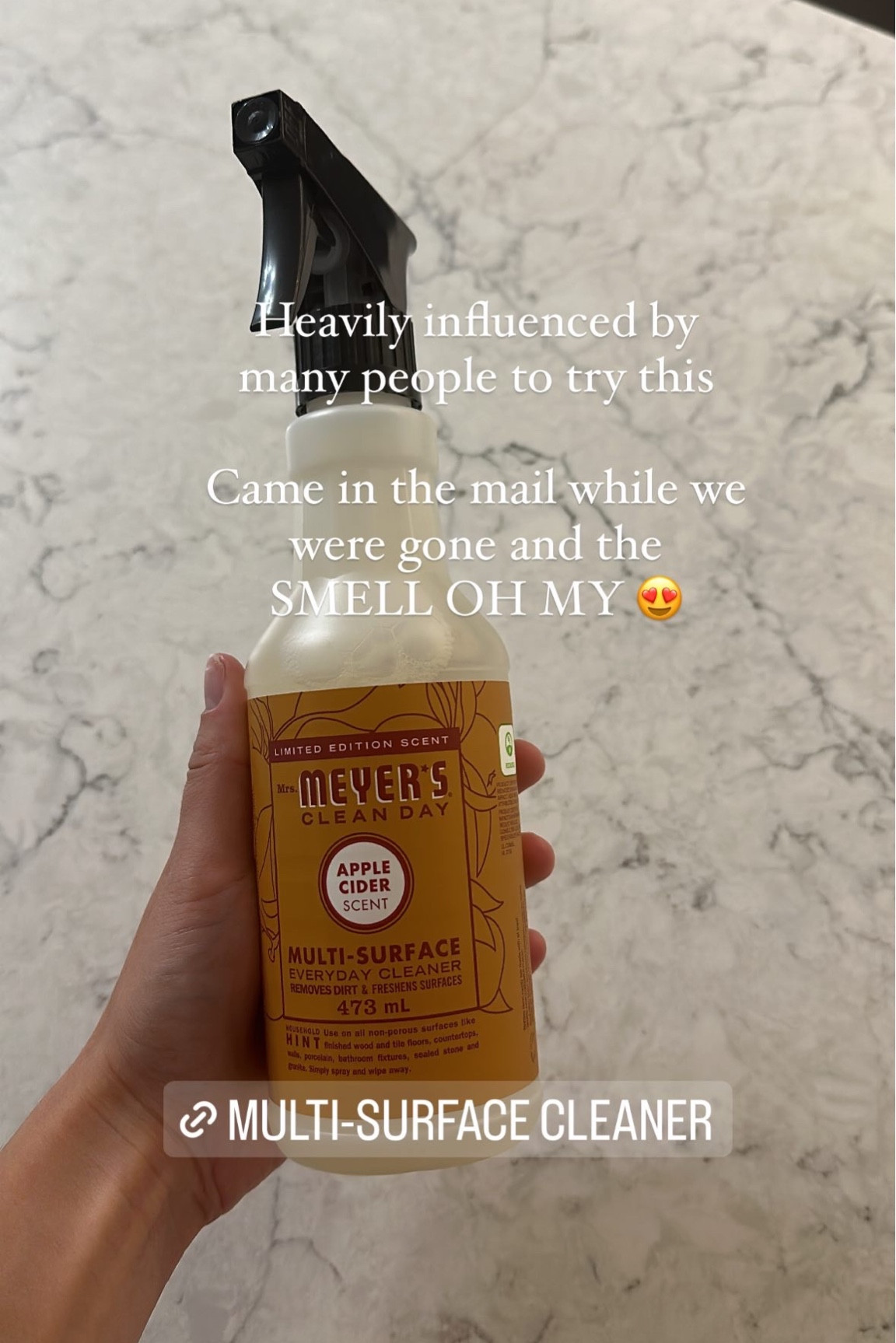 The best smelling multi surface cleaner for fall & winter 

#LTKfindsunder50 #LTKhome
