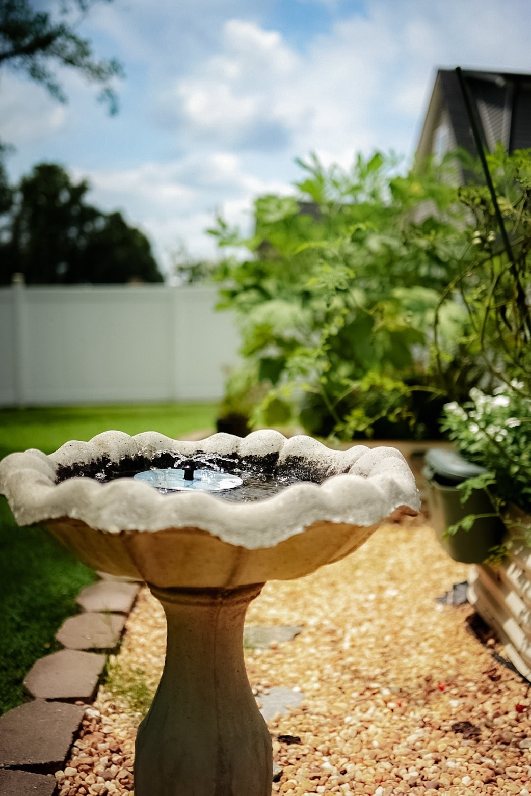 Garden days are my happy place 🌸☀️ Nothing soothes like the sound of running water while I’m tending to the flowers and veggies. This little solar fountain is such a simple addition, but it makes the whole garden feel peaceful and alive.”

✨ Linked my exact solar fountain + a few other affordable garden finds that add beauty and function without breaking the budget.

Garden finds
Backyard ideas
Garden decor
Outdoor living
Amazon home
Cottage garden
Cottage core
Affordable garden finds


#LTKFamily #LTKHome #LTKSeasonal