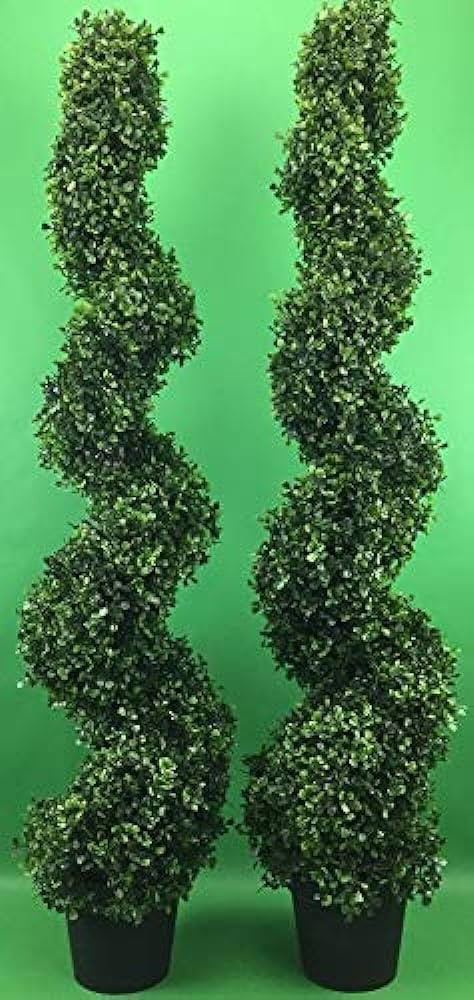 Arcadia Silk Plantation 2 Pre-potted 4 Feet 2 Inches Spiral Boxwood Artificial Topiary Trees in P... | Amazon (US)