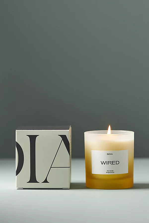 Wired Boxed Candle | Anthropologie (US)