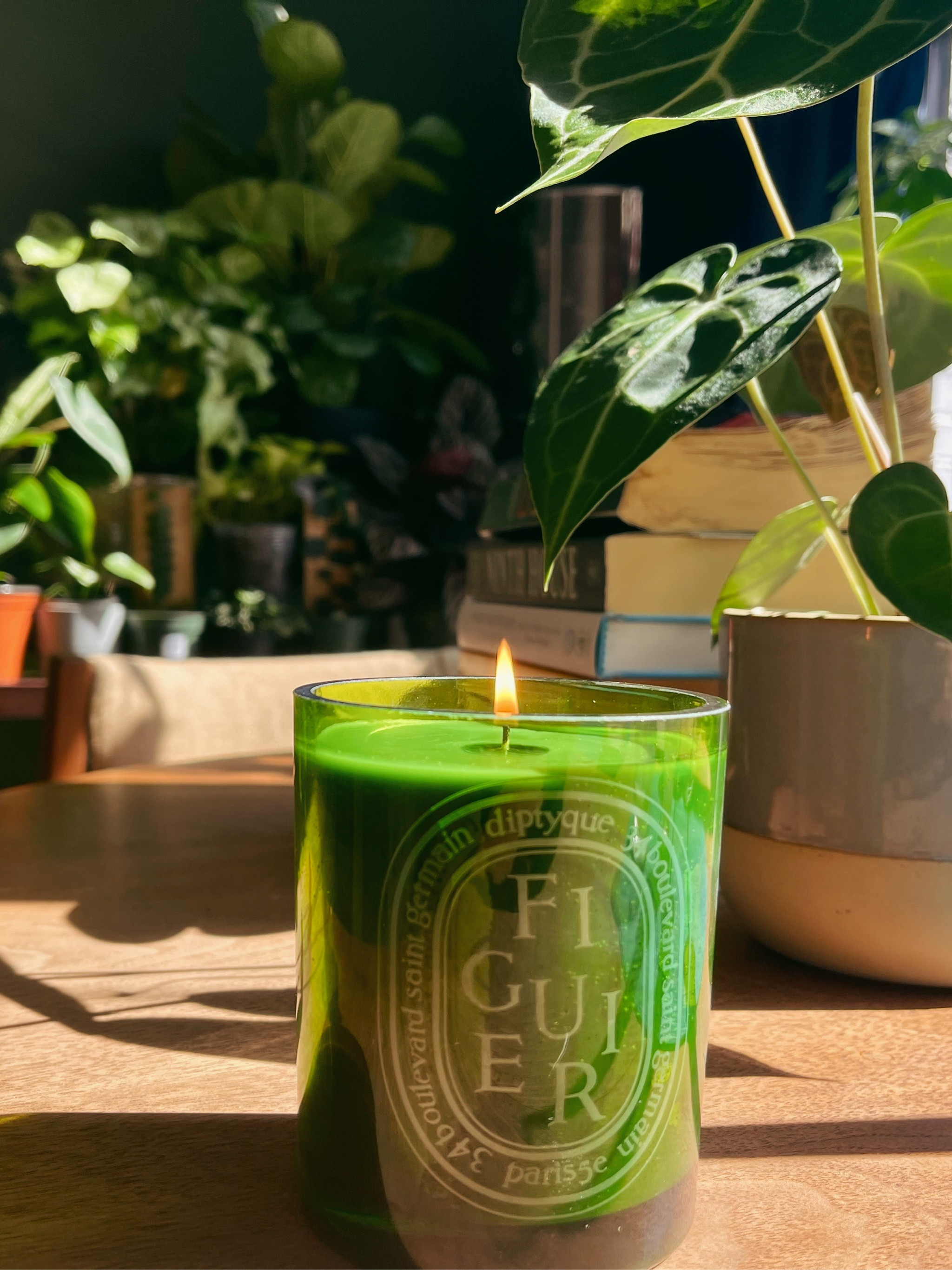 ディプティック　FIGUIE 1500g Figuier / Fig Tree | Outdoor Scented Candle | Diptyque Paris
