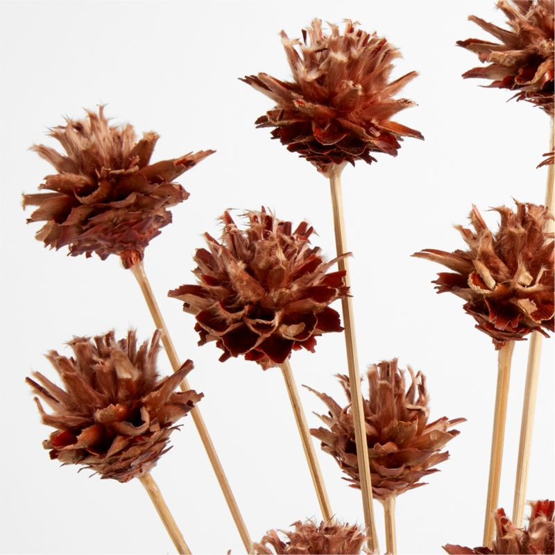 Erin Starcone Bundle 22" by Leanne Ford + Reviews | Crate & Barrel | Crate & Barrel