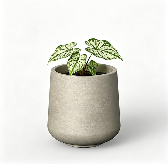 Kante 17.3" Tall Round Concrete Planter, Large Outdoor Plant Pot with Drainage Hole & Rubber Plug... | Amazon (US)