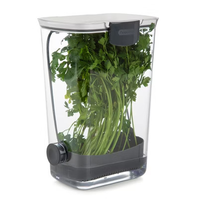 Progressive International PKS-930 BPA-Free Plastic ProKeeper Herb Keeper with Removable Silicone ... | Target