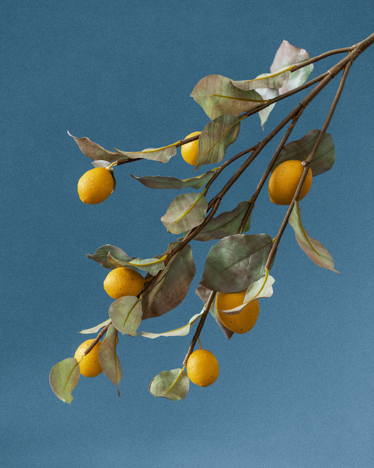 40" Lemon Branch | McGee & Co. (US)