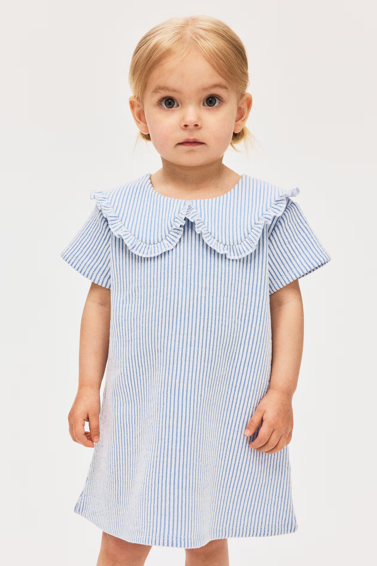 A-Line Dress with Collar | H&M (US + CA)