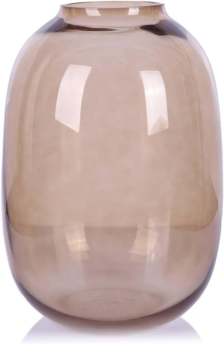 PlivBloom Amber Vase,Brown Glass,Round Art,Modern Clear Glass Vase,Decorative Bottles for Home De... | Amazon (US)