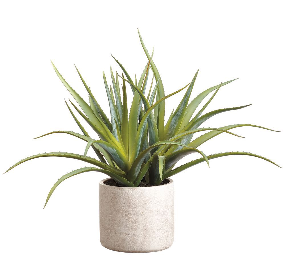 Faux Aloe Plant In Cement Pot - 12&quot;H | Pottery Barn (US)