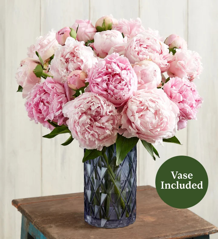 Precious Peony Bouquet | 1800flowers.com