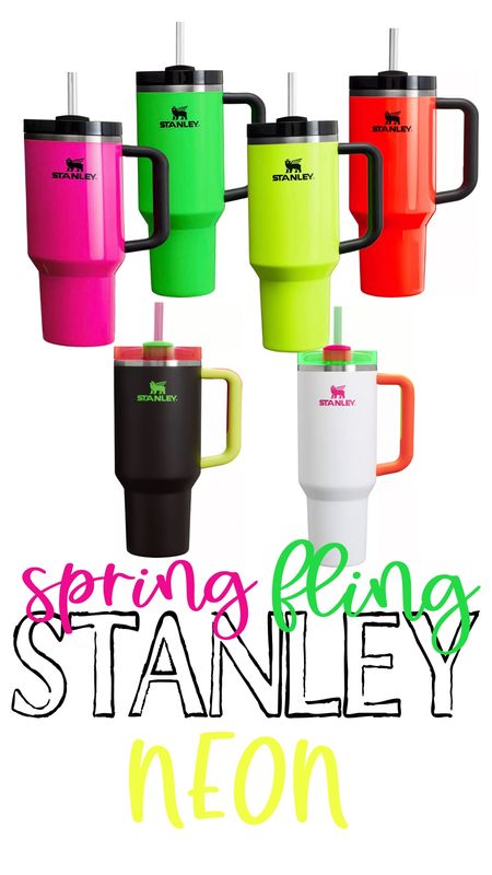 NEON Stanley cups and mugs. So cute for spring!!



#LTKhome #LTKSeasonal #LTKfindsunder50