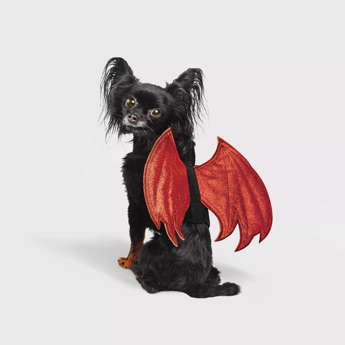 Halloween Reversible Red Devil or Angel Wings Dog and Cat Costume - Hyde and EEK! Boutique™ | Target