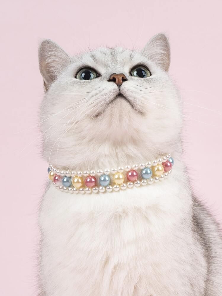 Pet Imitation Pearl Necklace | SHEIN