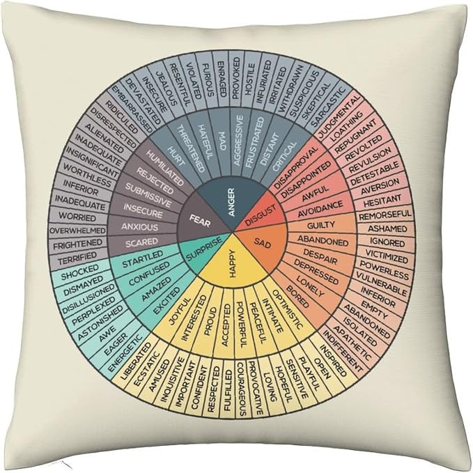 AIZAWA Wheel of Emotions Feelings Velvet Throw Pillow Covers Cozy Square Throw Pillowcases Home D... | Amazon (US)