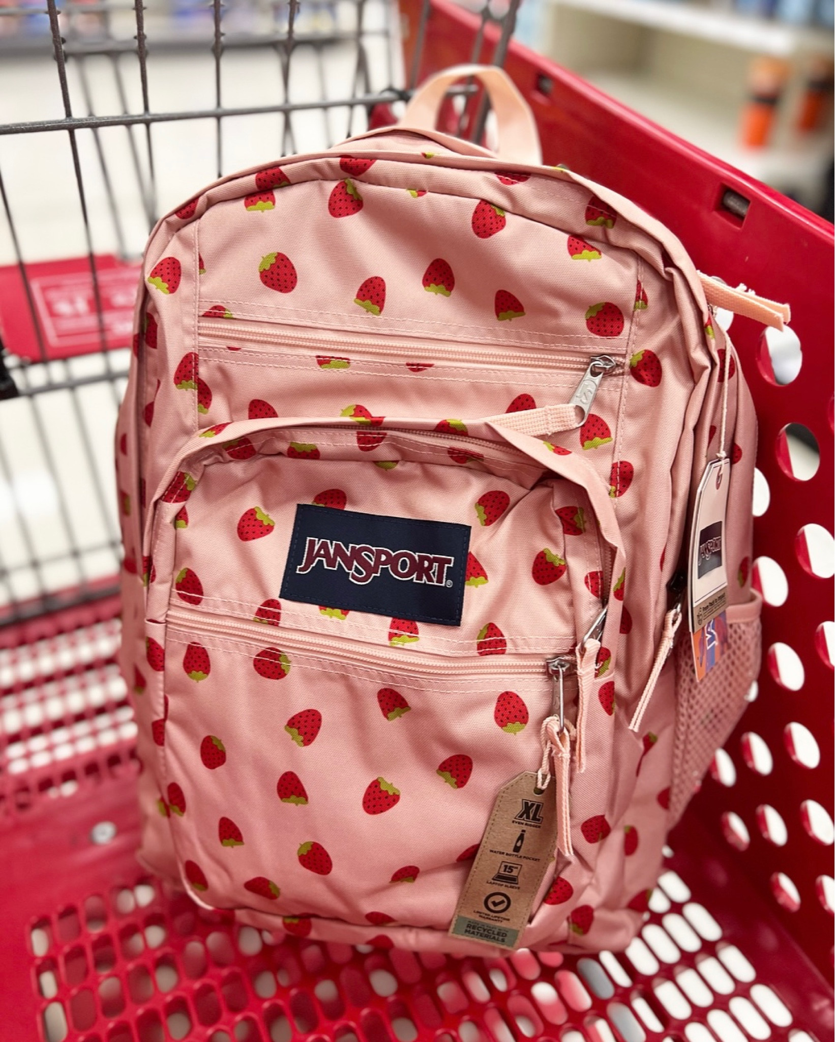 JanSport Big Student 17.5