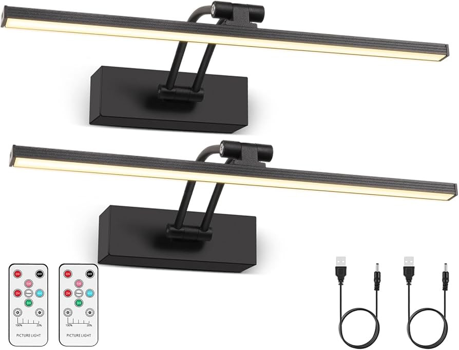 2 Pack Picture Light Battery Operated for Wall, 12" Wireless Art Light with Remote, Rechargeable ... | Amazon (US)