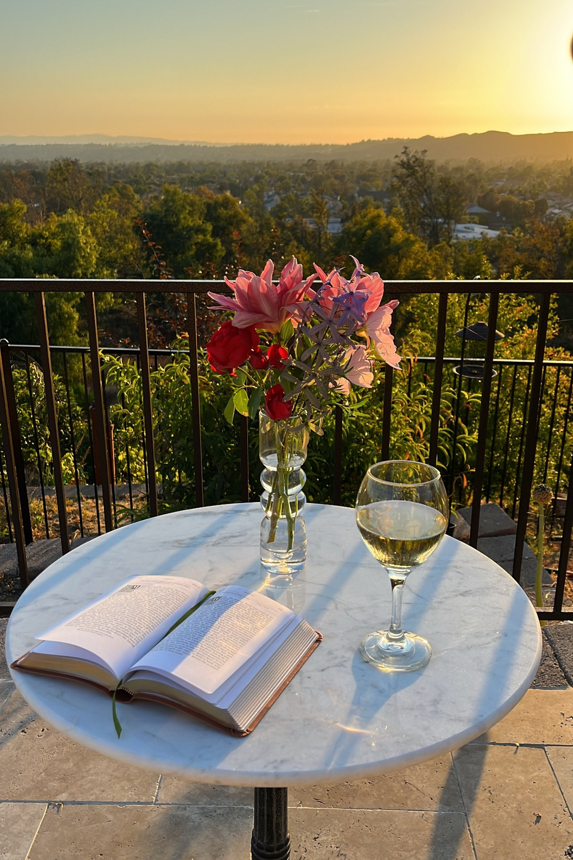 Evening devotional, fresh cut garden flowers and wine on my favorite marble bistro table! Loving this ritual ✨ 

#LTKHome #LTKStyleTip #LTKSeasonal