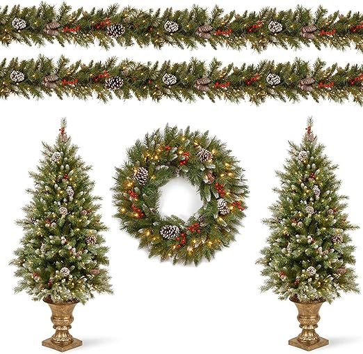 National Tree Company Pre-lit Holiday Christmas 5-Piece Set | Wreath, Set of 2 Entrance Trees and... | Amazon (US)