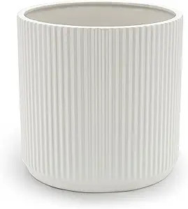 Amazon Basics Fluted Ceramic Round Planter, 10-Inch, White | Amazon (US)