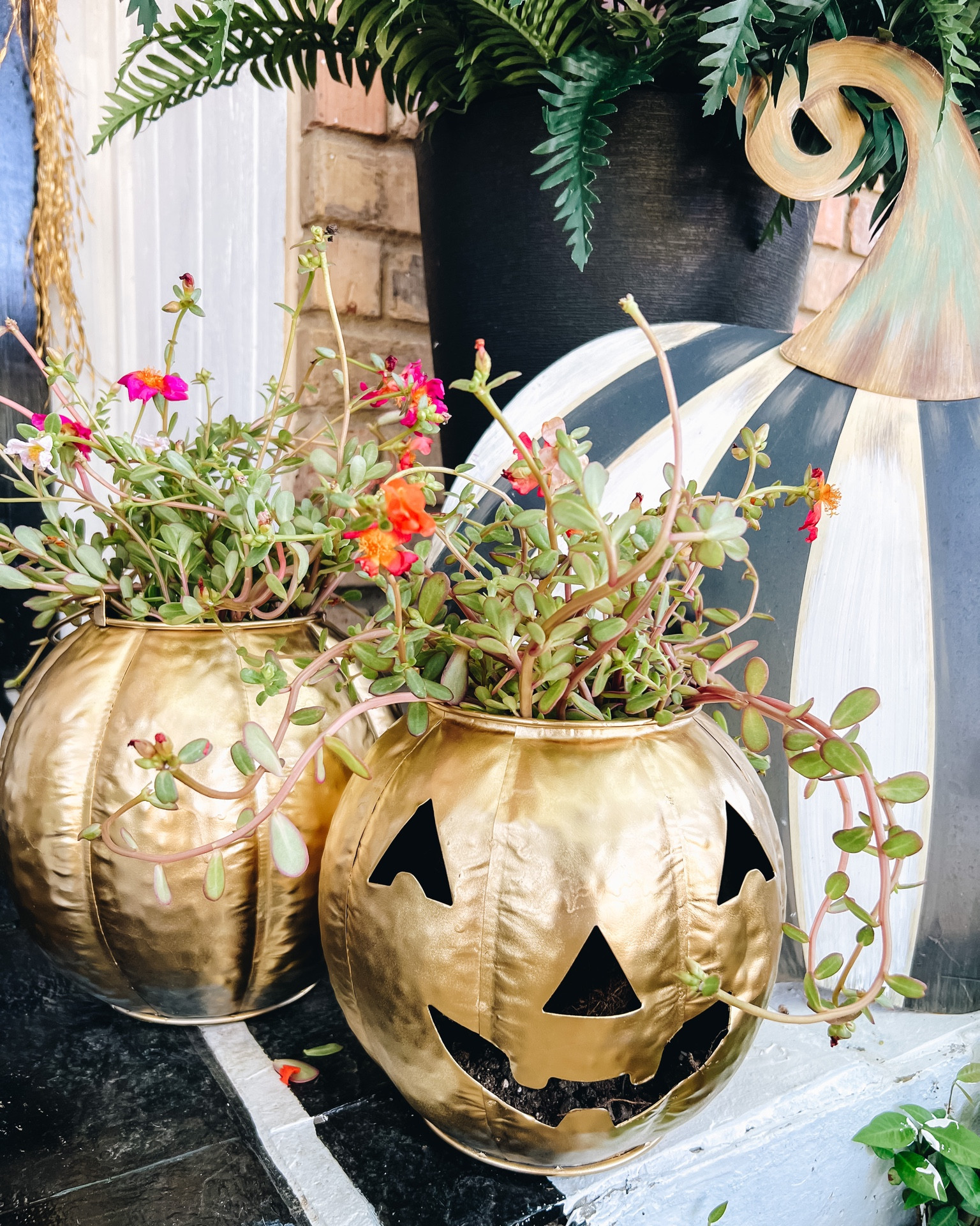 Fall, Halloween, porch, black and white, gold, jackantern, planter, decor 

#LTKsalealert #LTKhome #LTKSeasonal