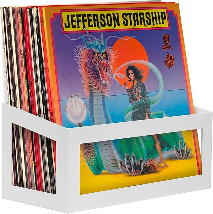 Hudson Hi-Fi Vinyl Display Holder - 1 Pack Record Display Shelf - Solid Steel Vinyl Wall Mount & ... | Amazon (US)