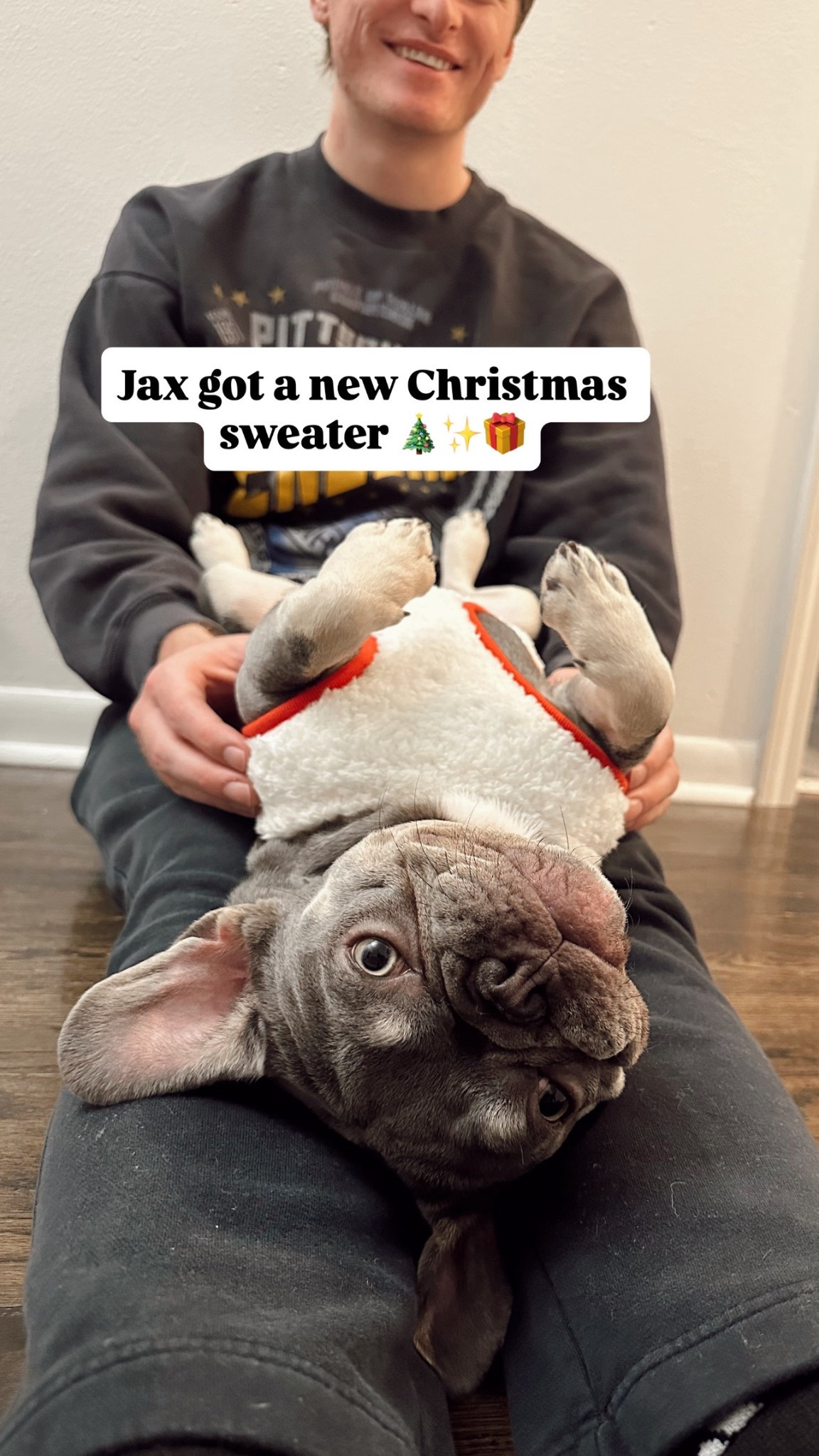 Cutest dog fleece! 🐾🎁

pet, pet holidays, pet fleece

#LTKootd #LTKdayinmylife #LTKgrwm