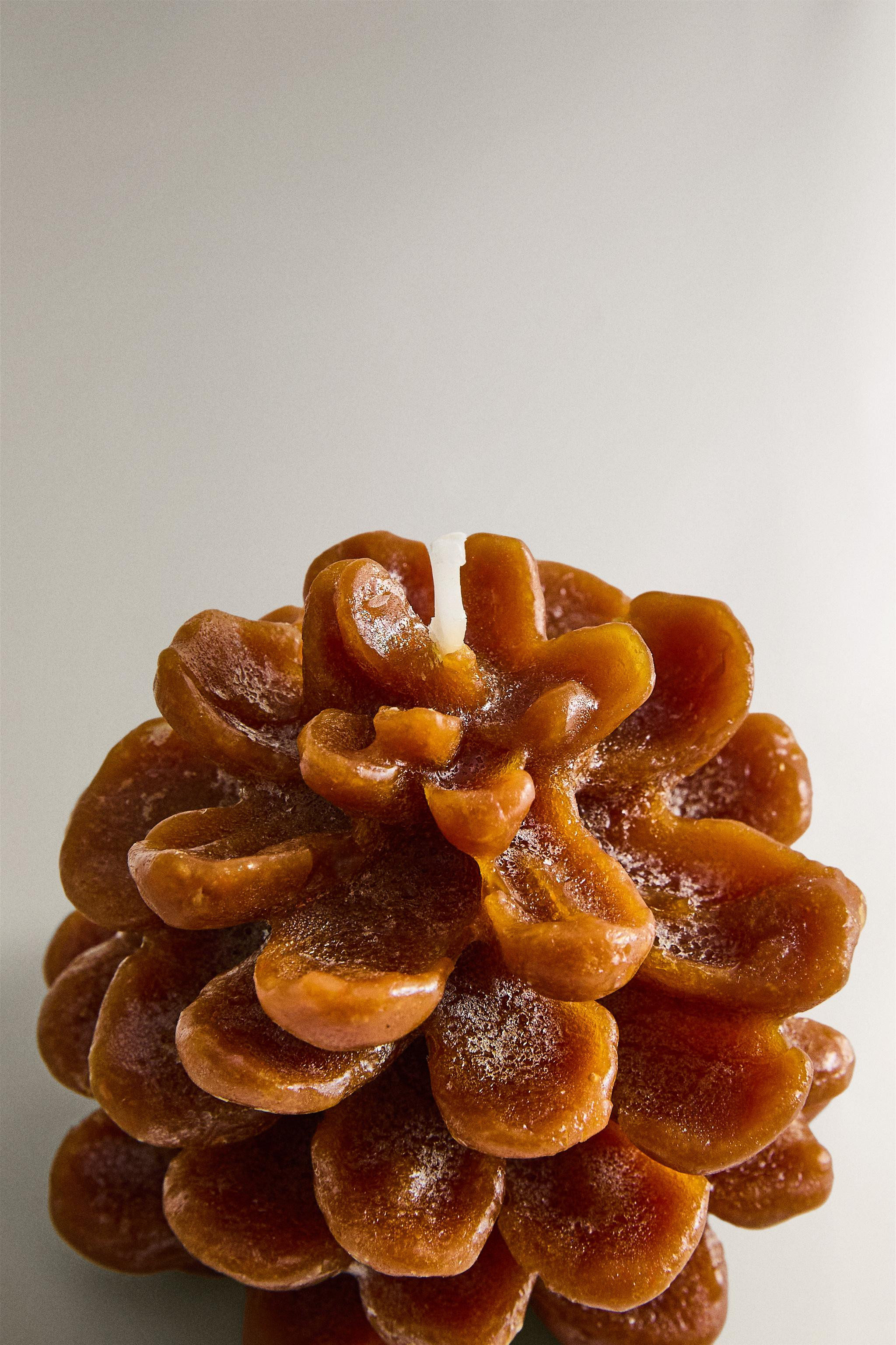 PINE CONE PUMPKIN SPICE SCENTED CANDLE | Zara US