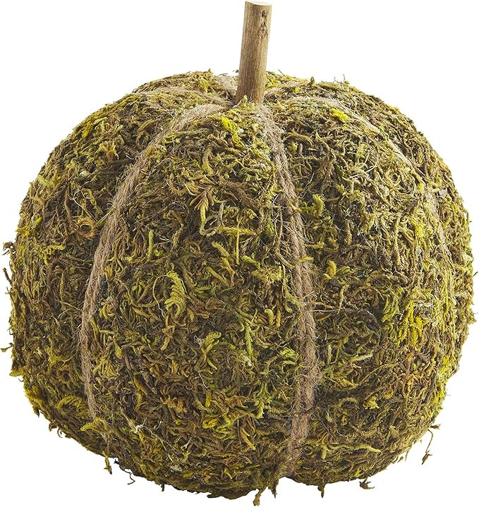 Mud Pie Preserved Moss Pumpkin, Large Table Sitters | Amazon (US)