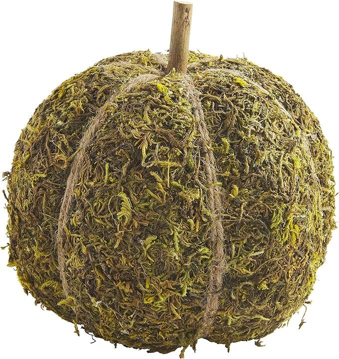 Mud Pie Preserved Moss Pumpkin, Large Table Sitters | Amazon (US)