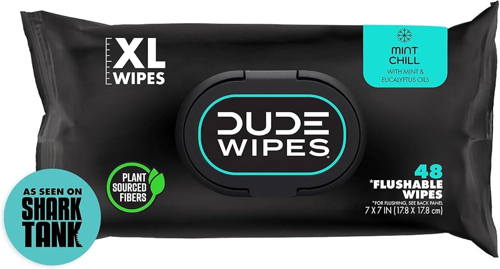 DUDE Wipes Flushable Wet Wipes Dispenser, Mint Chill, 48Count - Scented Wet Wipes with Vitamin-E,... | Amazon (US)