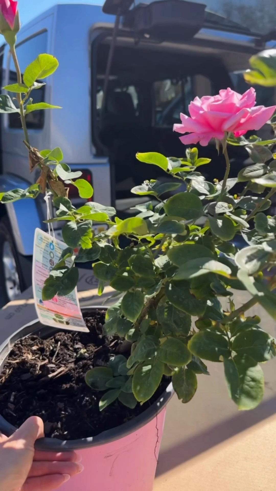 Outdoor favorites, patio favorites, backyard, planters 

#LTKHome #LTKSeasonal