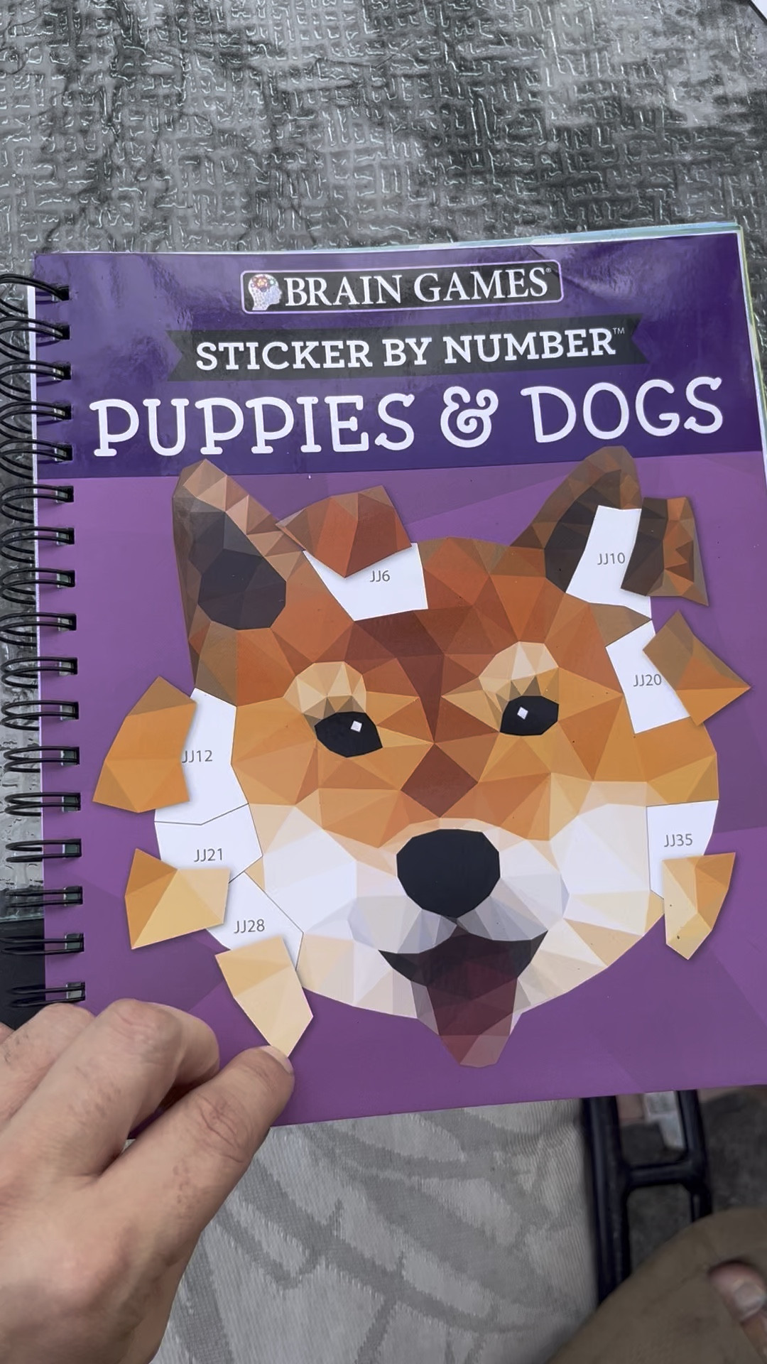 The perfect activity book! 

#LTKKids #LTKHoliday #LTKGiftGuide