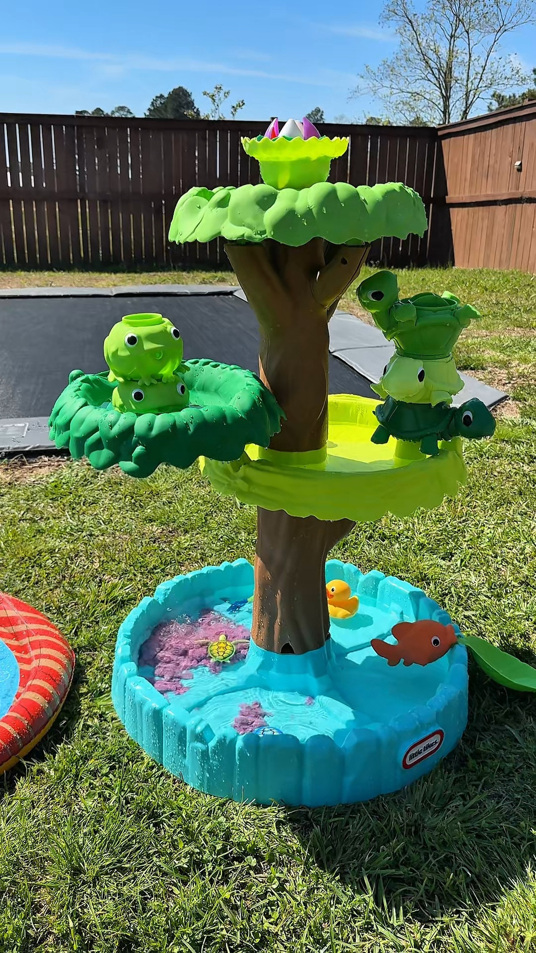 Fun summer set up for the kids with turtle water table and splash pad 

#LTKBaby #LTKKids #LTKdayinmylife