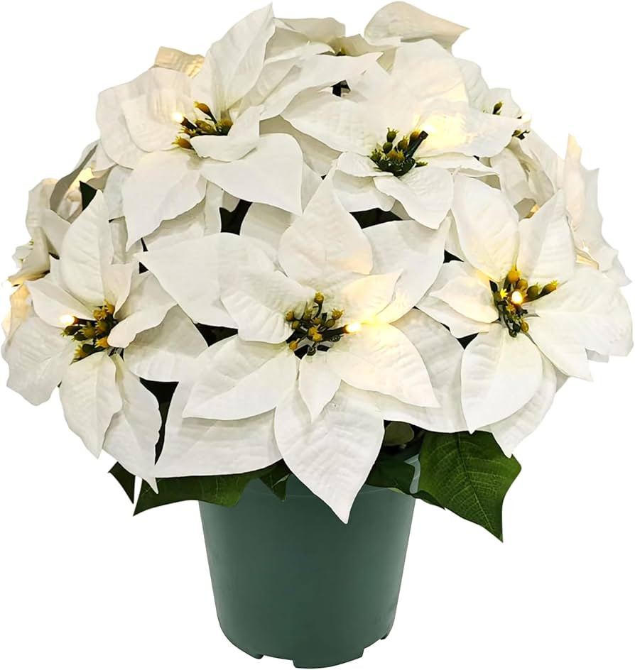 Puleo International 19" Pre-Lit Battery-Operated Artificial Potted White Poinsettias | Amazon (US)