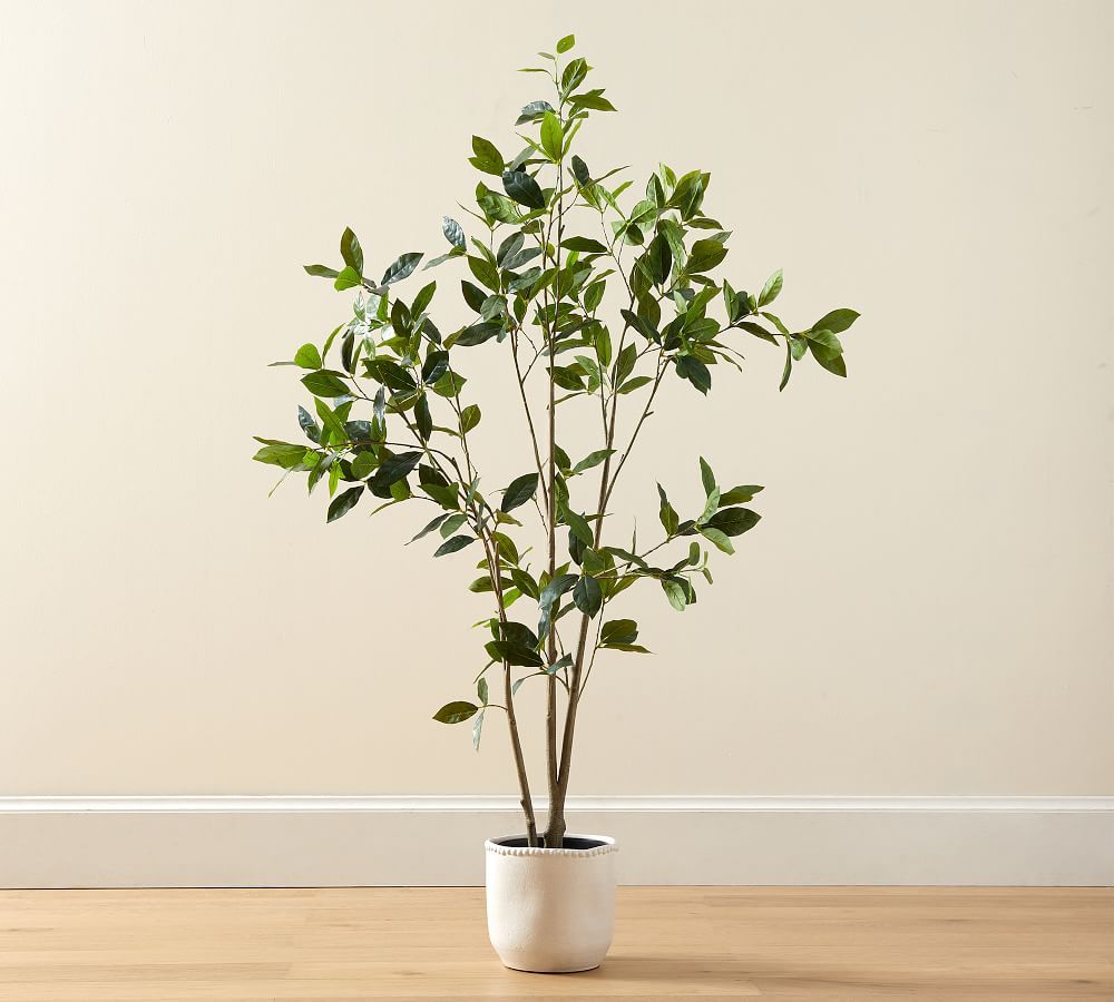 Faux Bay Leaf Tree - 5 Ft | Pottery Barn (US)