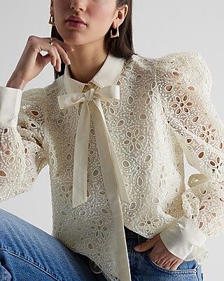 Eyelet Lace Tie Neck Puff Sleeve Top | Express