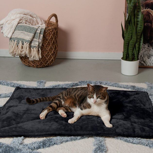 FurHaven ThermaNAP Faux Fur Self-Warming Dog & Cat Mat | Chewy.com