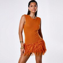 Tassle Hem Crochet Knit Mini Dress | SHEIN